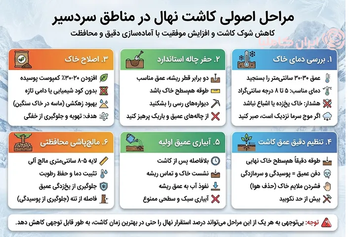 مراحل کاشت درخت در مناطق سردسیر